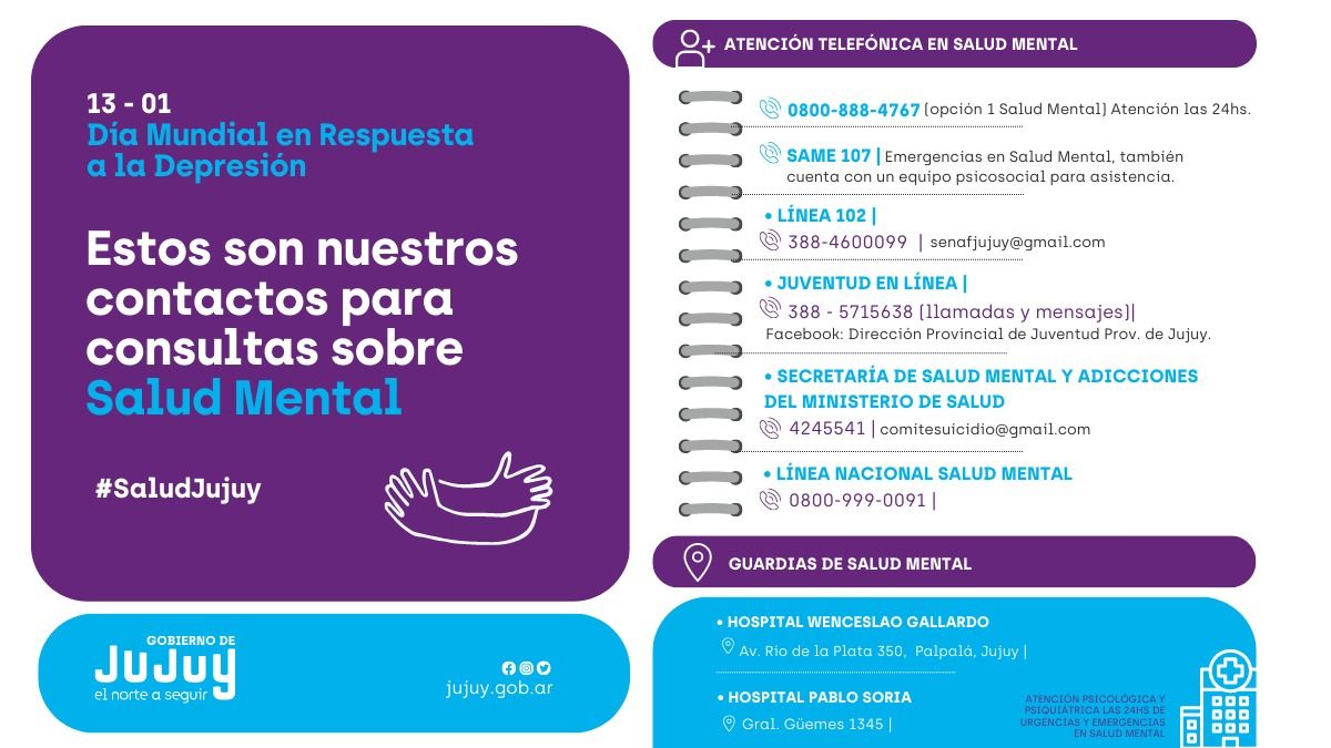 Hablemos de Depresión Indicadores claves para reconocer el cuadro