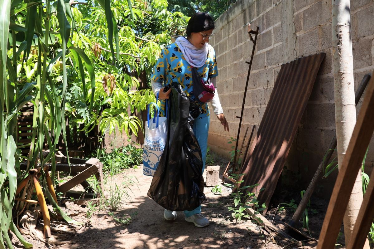 Se fortalece la vigilancia aún con el descenso de casos de dengue