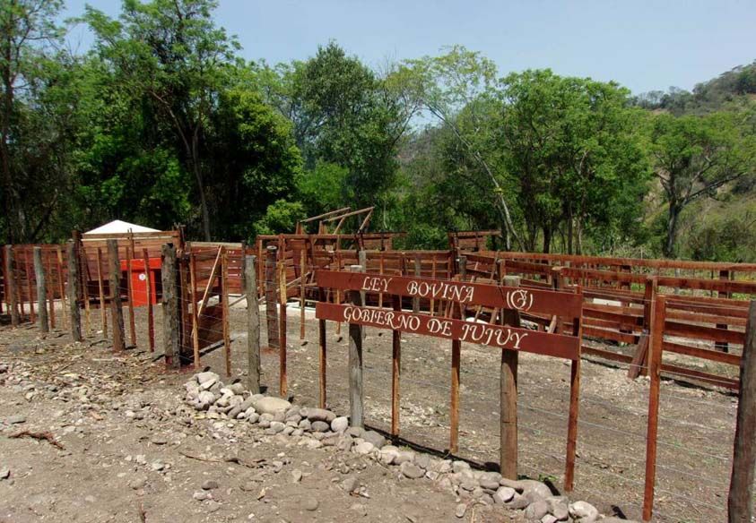 En esta oportunidad se abordó el tema de sanidad y la detección de enfermedades