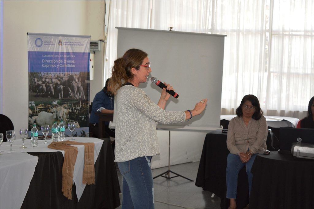 El 1º Foro de Ovinos, Caprinos y Camélidos se realizó en el hotel Casino de Palpalá. 