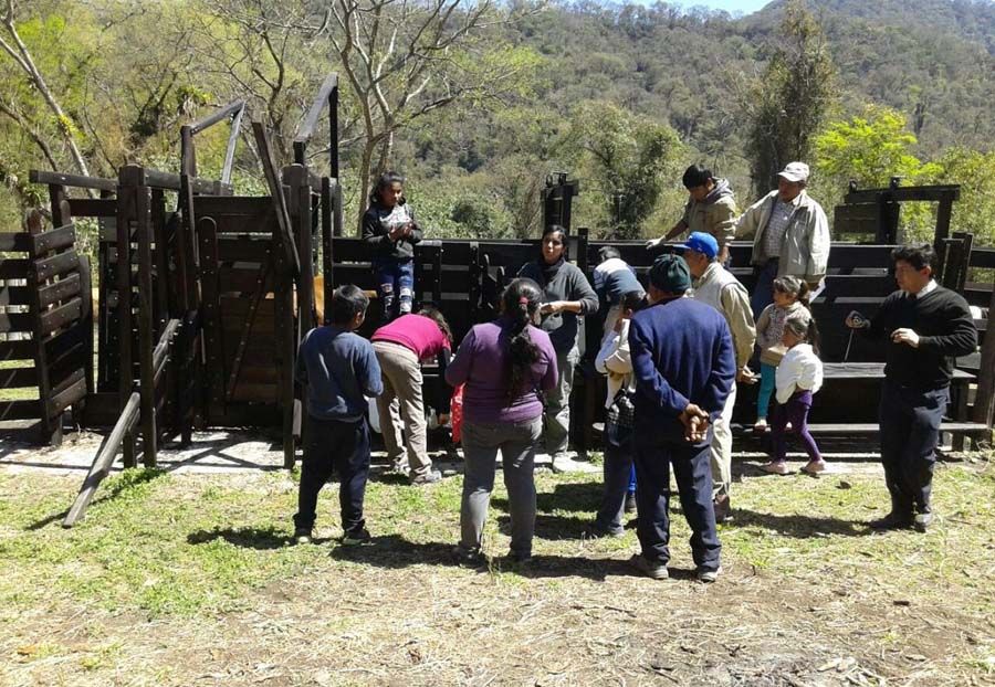 En la localidad de Aforo se realizó una importante capacitación demostrativa para todos los productores de la región