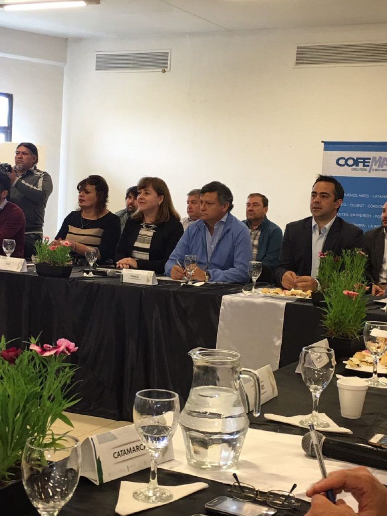 Ministra María Inés Zigarán, presidiendo la Asamblea del COFEMA, durante los días 13 y 14 de octubre.