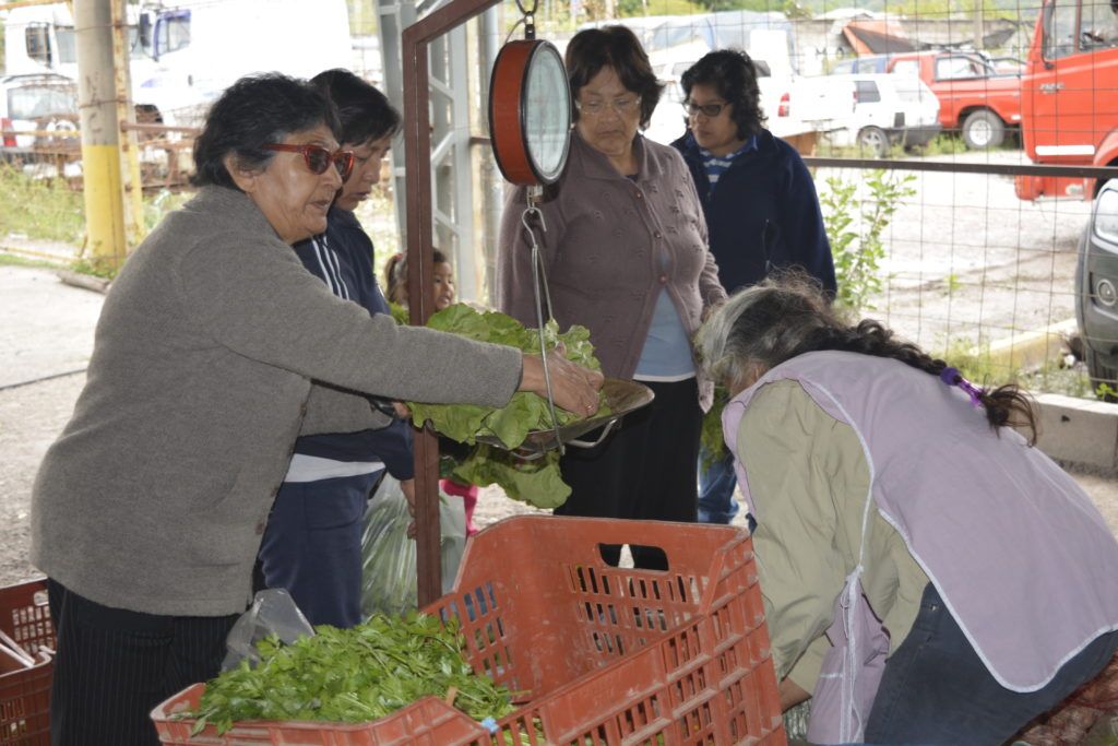 Aproximadamente 70 productores, ofrecieron sus productos. 