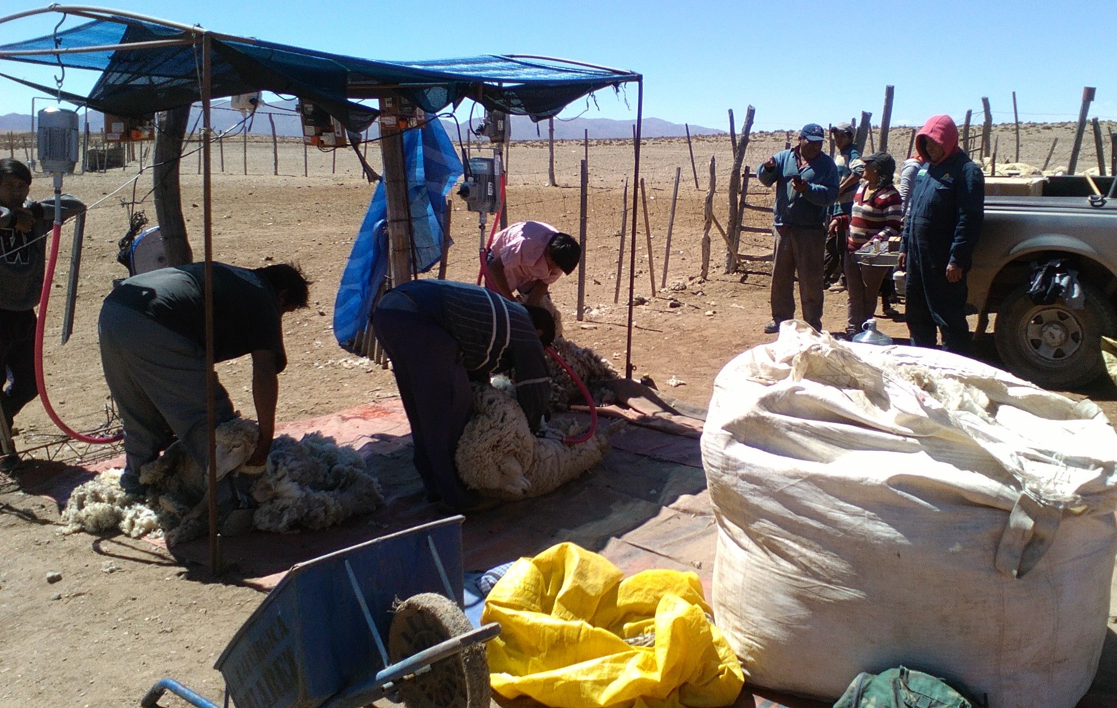 Máquinas en Santuario al servicio de productores ovinos