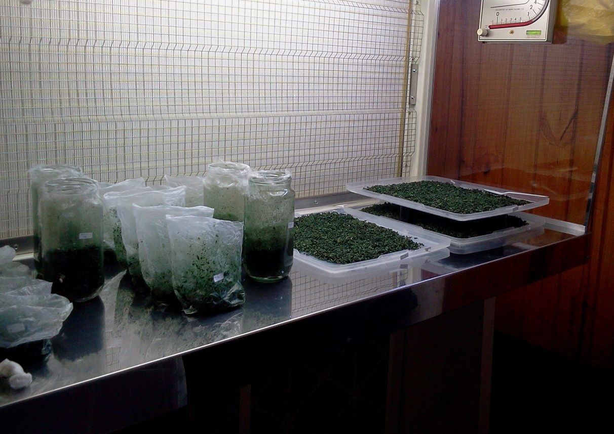 Bioinsumos generados en Vivero Provincial Monterrico