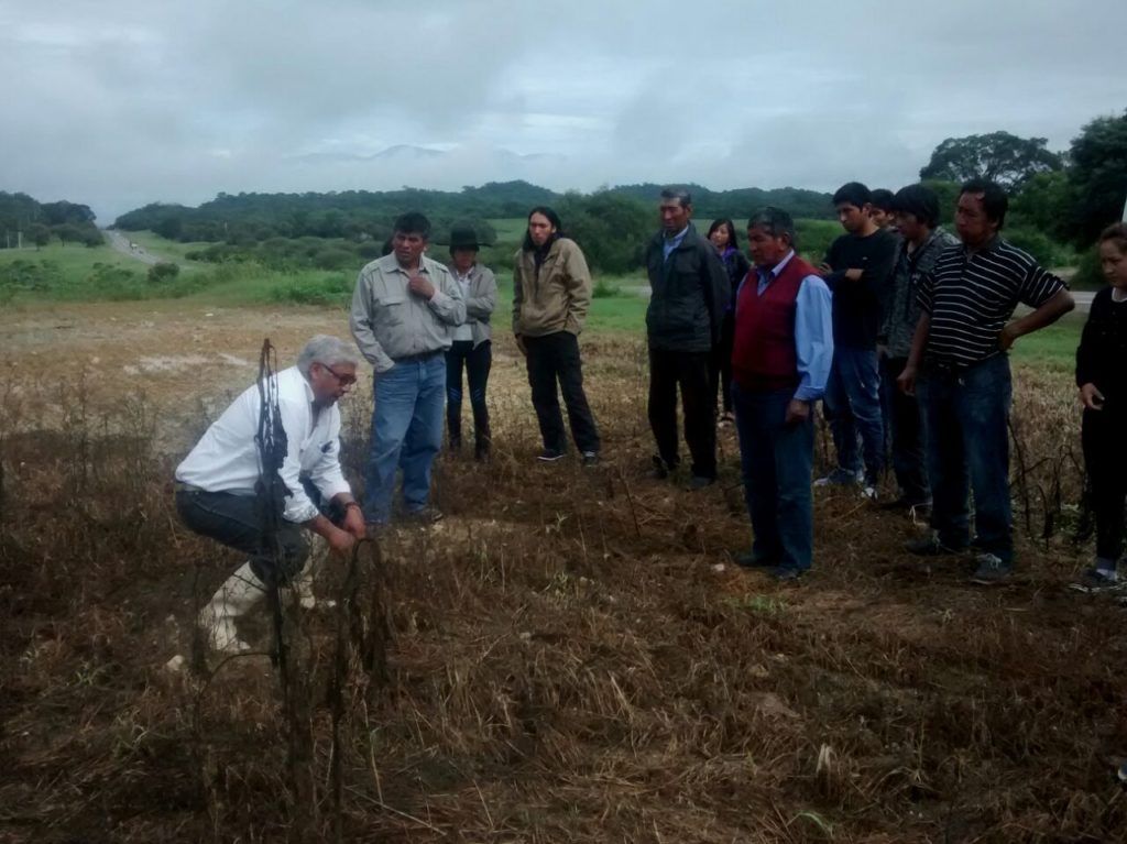 Productores de Cangrejillos en Finca El Pongo