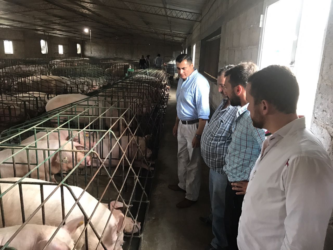 El Secretario de Desarrollo Industrial y Comercial, Diego Suárez, en la visita a productores de El Carmen