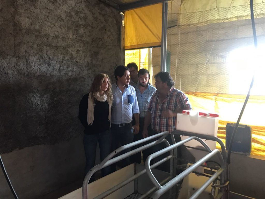 Desarrollo Económico y Producción y representantes de la Legislatura con productores porcinos jujeños