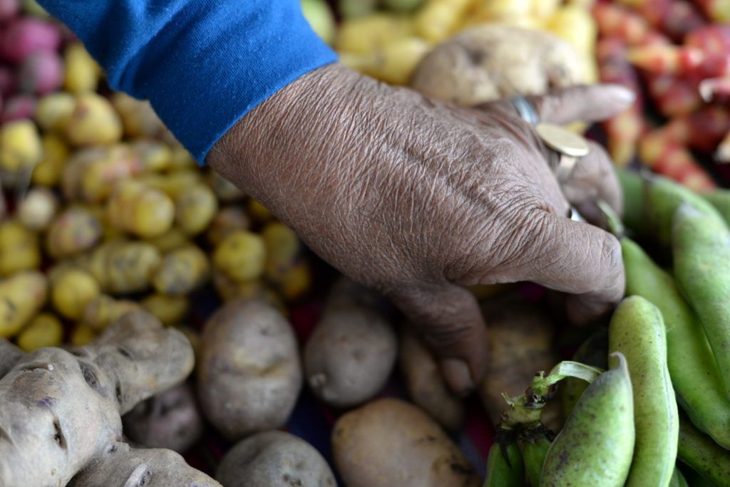 Los cultivos ancestrales