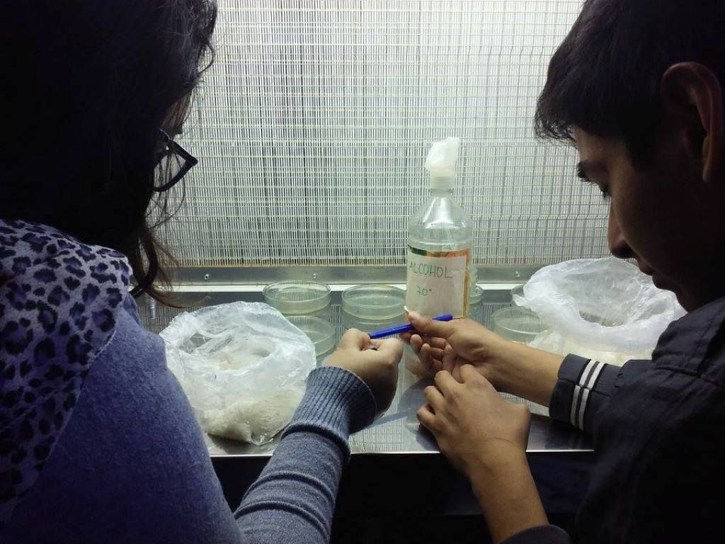 Alumnos realizaron prácticas en laboratorio provincial