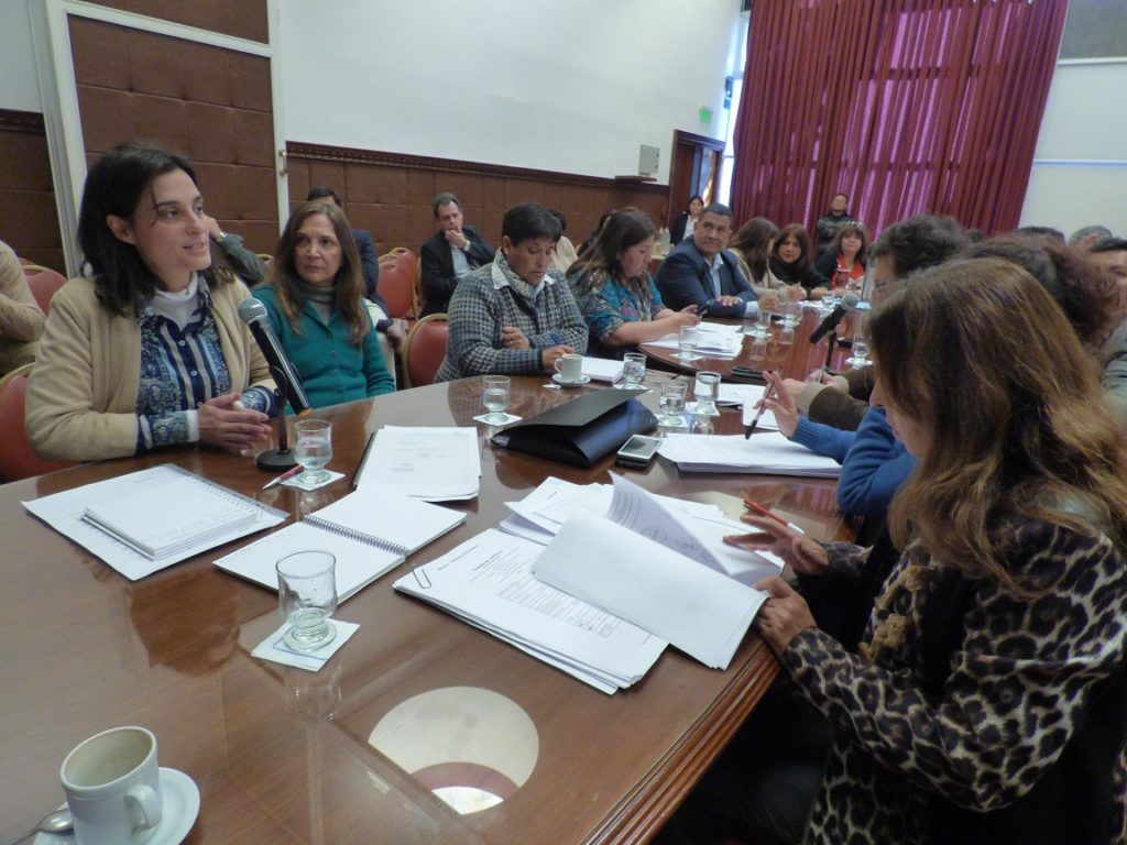 Este nuevo ordenamiento busca identificar las unidades ambientales y de uso del suelo presentes en las áreas boscosas de la Provincia, la distribución geográfica y la superficie.