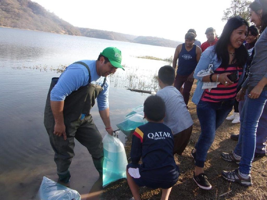Con esto se busca llegar a un millón de alevinos sembrados en nuestros espejos de agua.