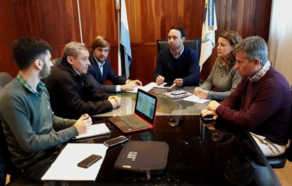 Ministerio y Senasa dispusieron plan conjunto por langostas en Jujuy