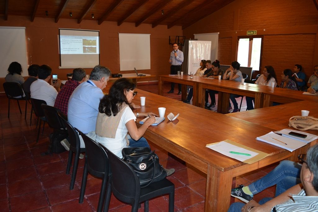 Director Pardo de Figueroa expuso las acciones ministeriales