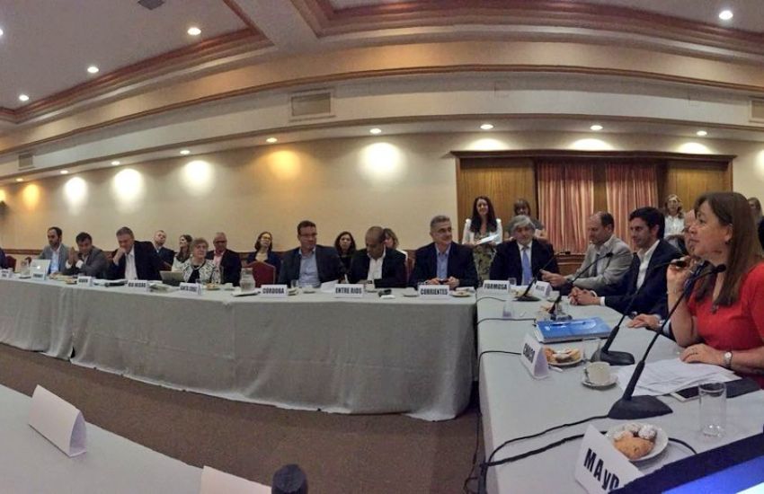ASAMBLEA COFEMA 1