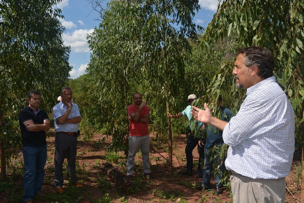 Productor Gómez con ministro Abud Robles en campos de eucalyptus