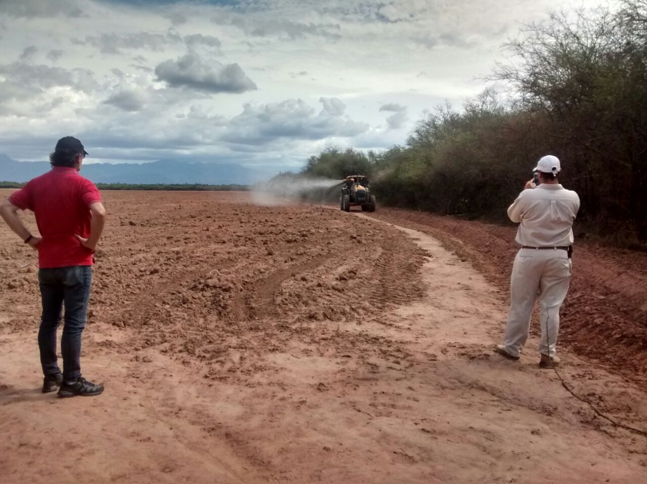 Urge esfuerzo conjunto para el control de langostas.
