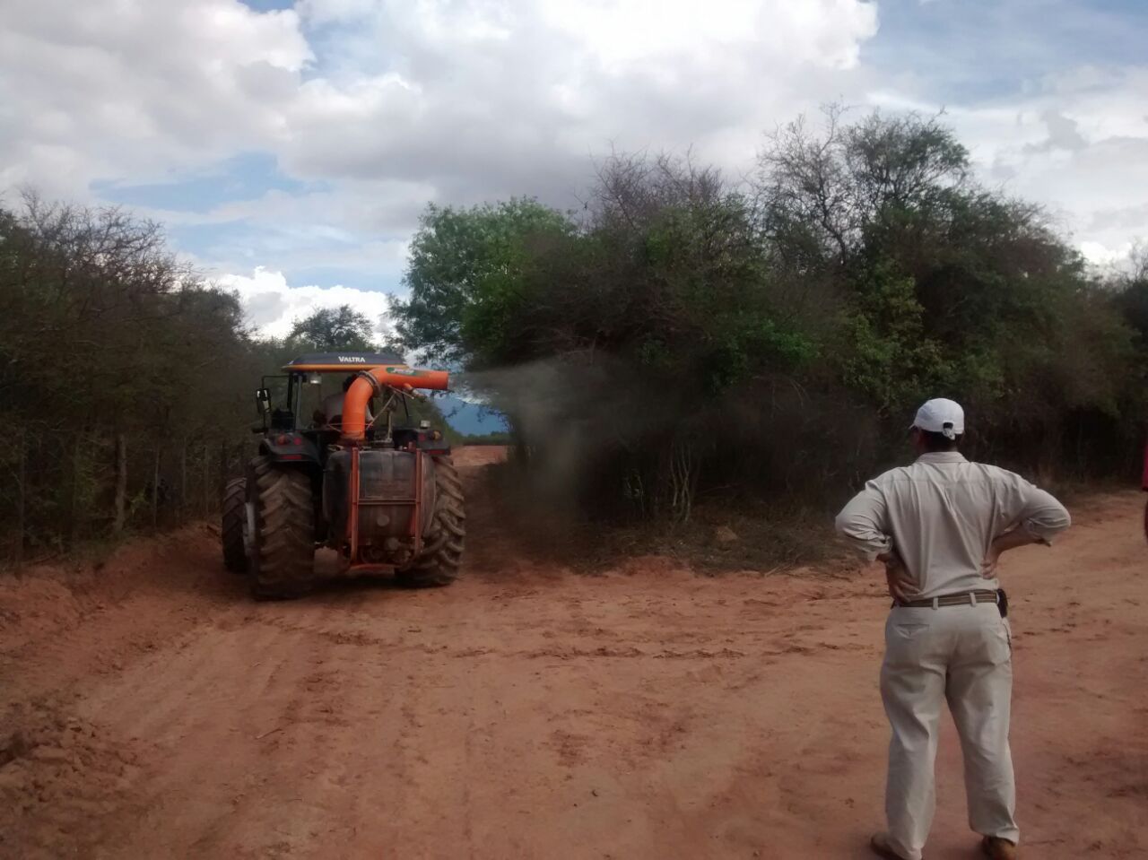 Fuerte accionar contra la plaga de langosta. 