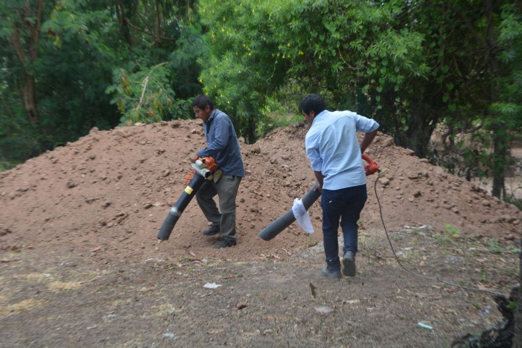 control de la langosta en campos