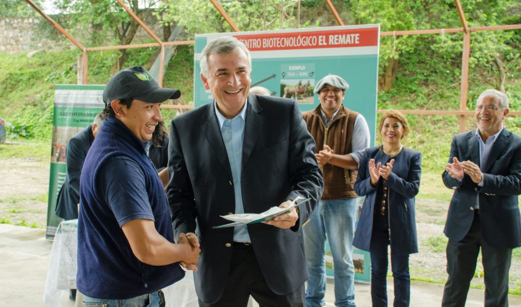 Los productores ganaderos de Jujuy mejorarán la calidad genética en sus rodeos.