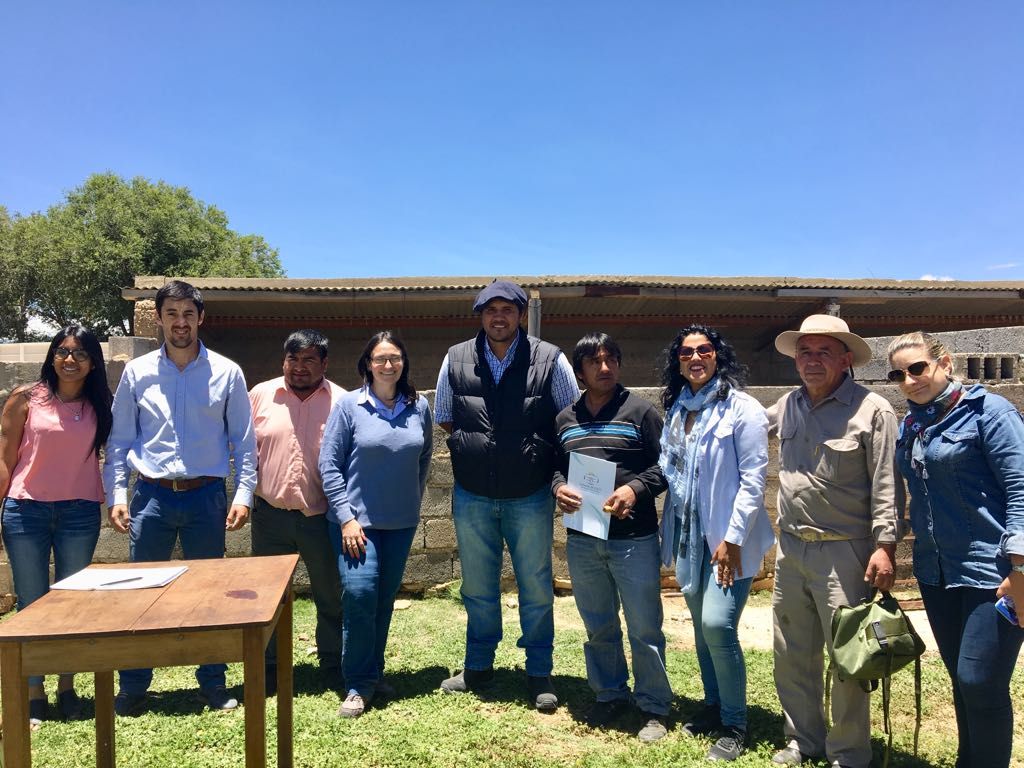 Ministerio de Desarrollo Económico y Producción entregó ovinos al municipio de Abra Pampa y productores locales.