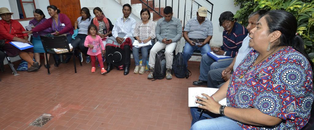 Secretaria de Pueblos Indígenas, Natalia Sarapura, encabeza la reunión que se concretó en la sede del organismo.