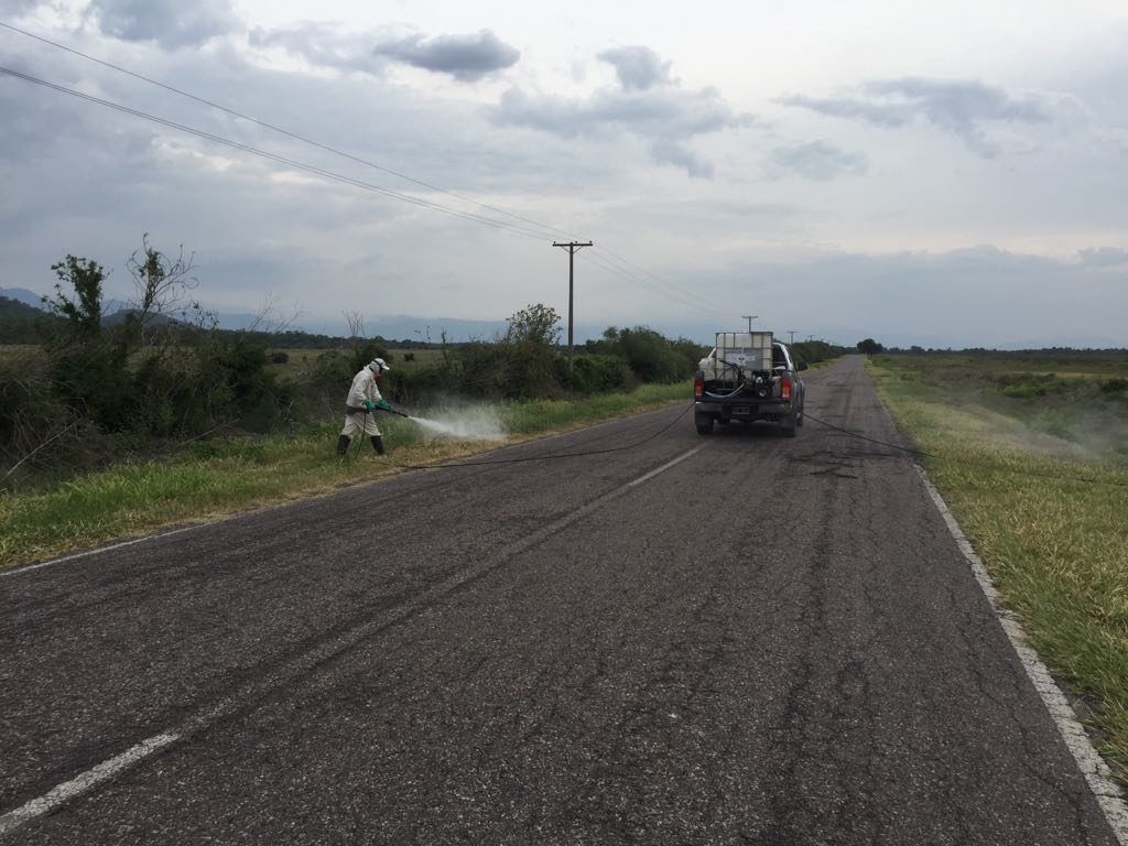 Las aplicaciones químicas se realizaron en rutas y banquinas.