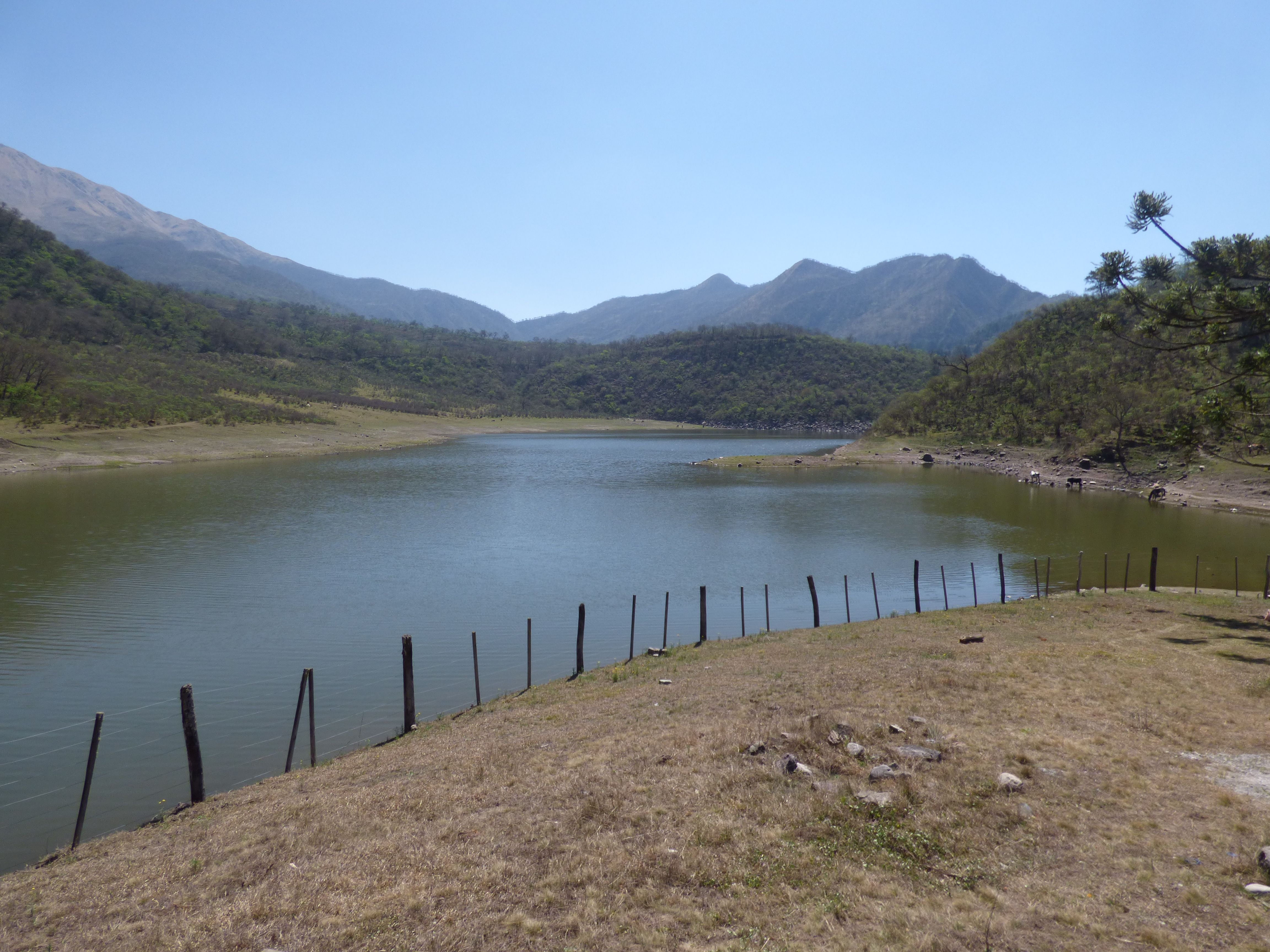 Laguna de Yala - Comedero - Lic. Daniela Massere (10)