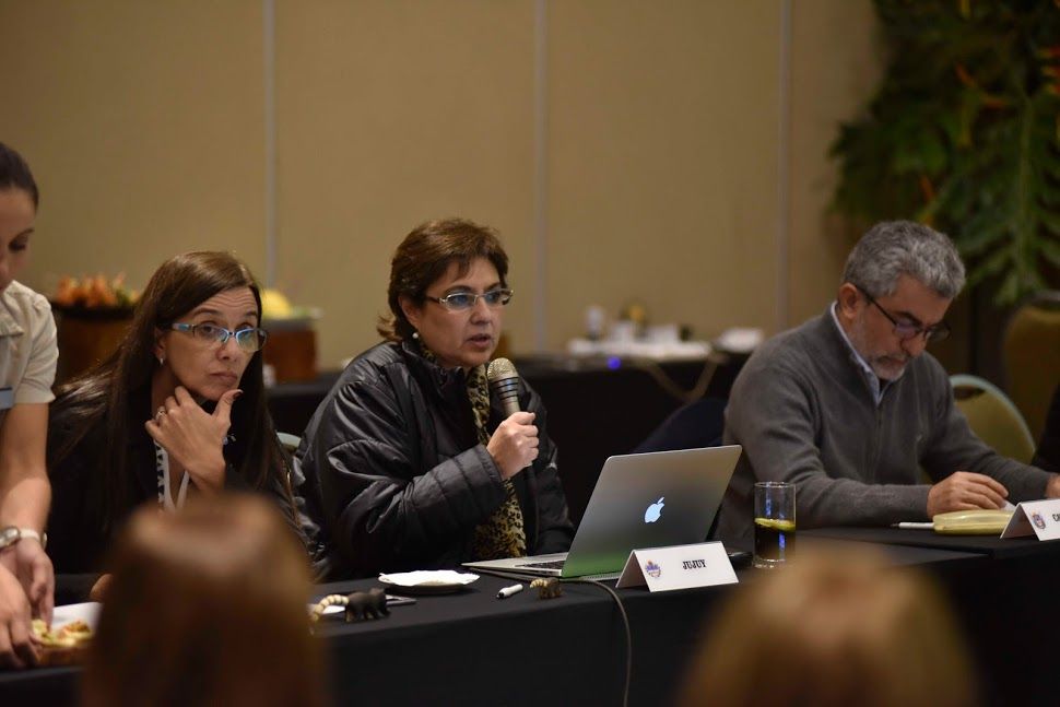 La ministra Isolda Calsina expone durante las deliberaciones del Consejo Federal de Educación, en Misiones.