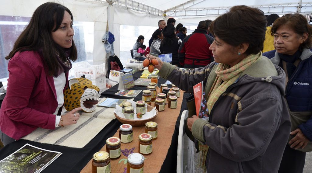 Se dio a conocer la producción del chilto.