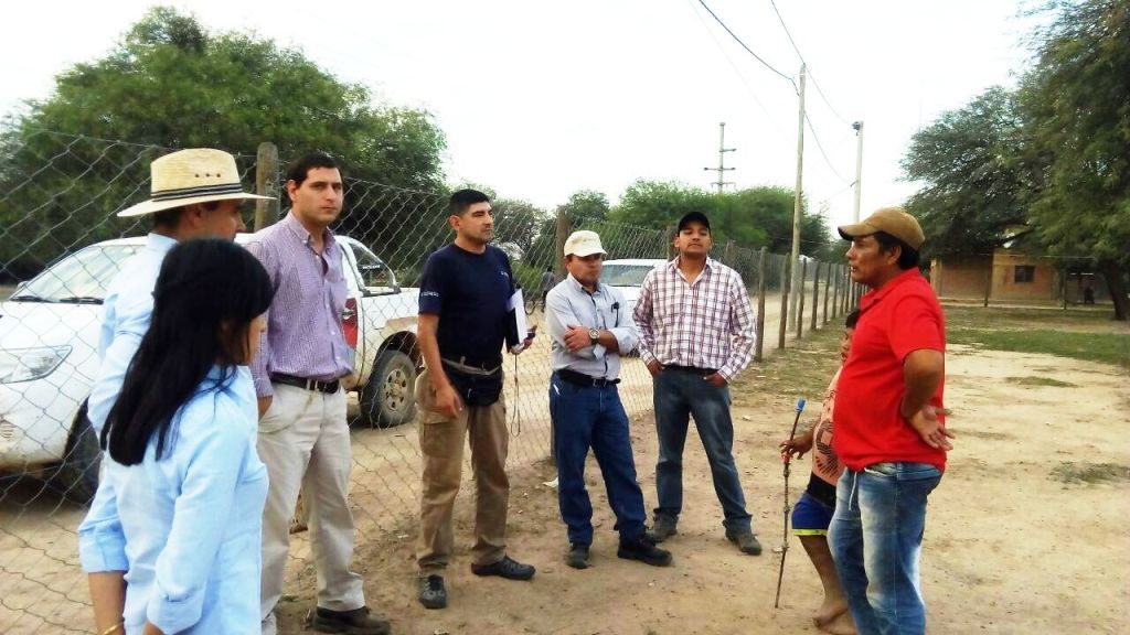 Vigilancia permanente de Jujuy ante plaga de langosta