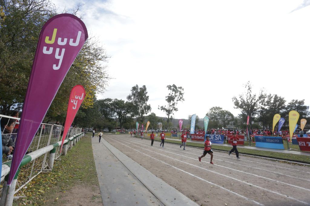 Gobierno prestó servicios de asistencia y fiscalización