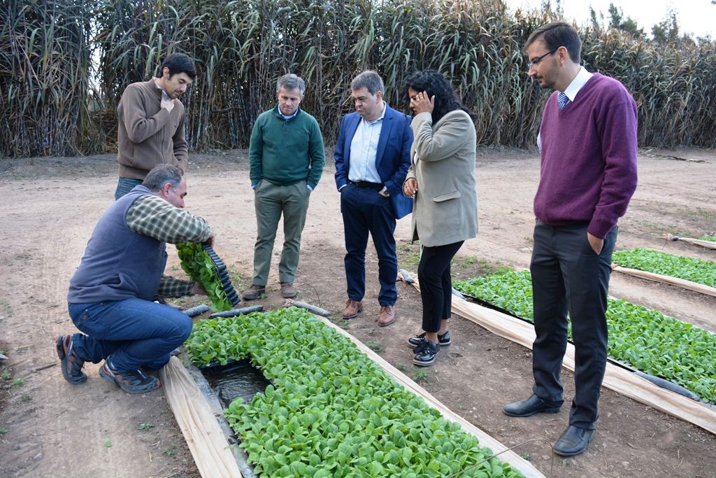 Importantes avances en la producción tabacalera local.