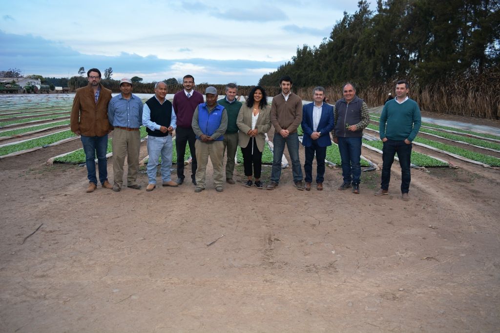 La secretaria de Desarrollo Productivo junto al coordinador del PRAt, recorrieron fincas locales-