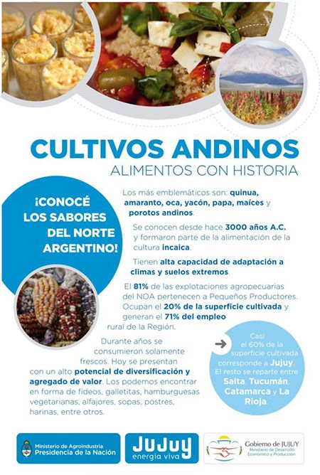 Se divulgarán las cualidades de los cultivos andinos.