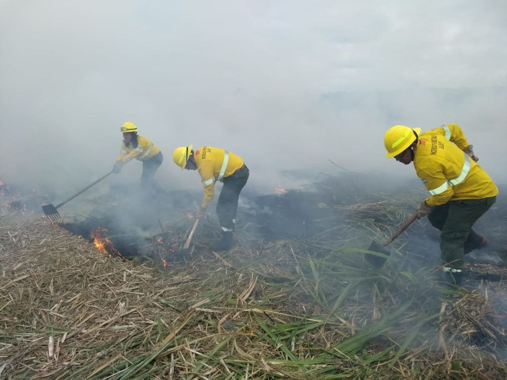 Incendios pastizales