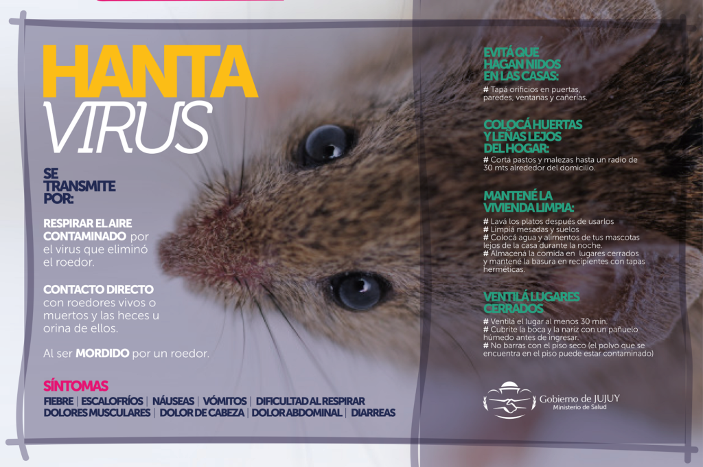 hantavirus-01 - copia