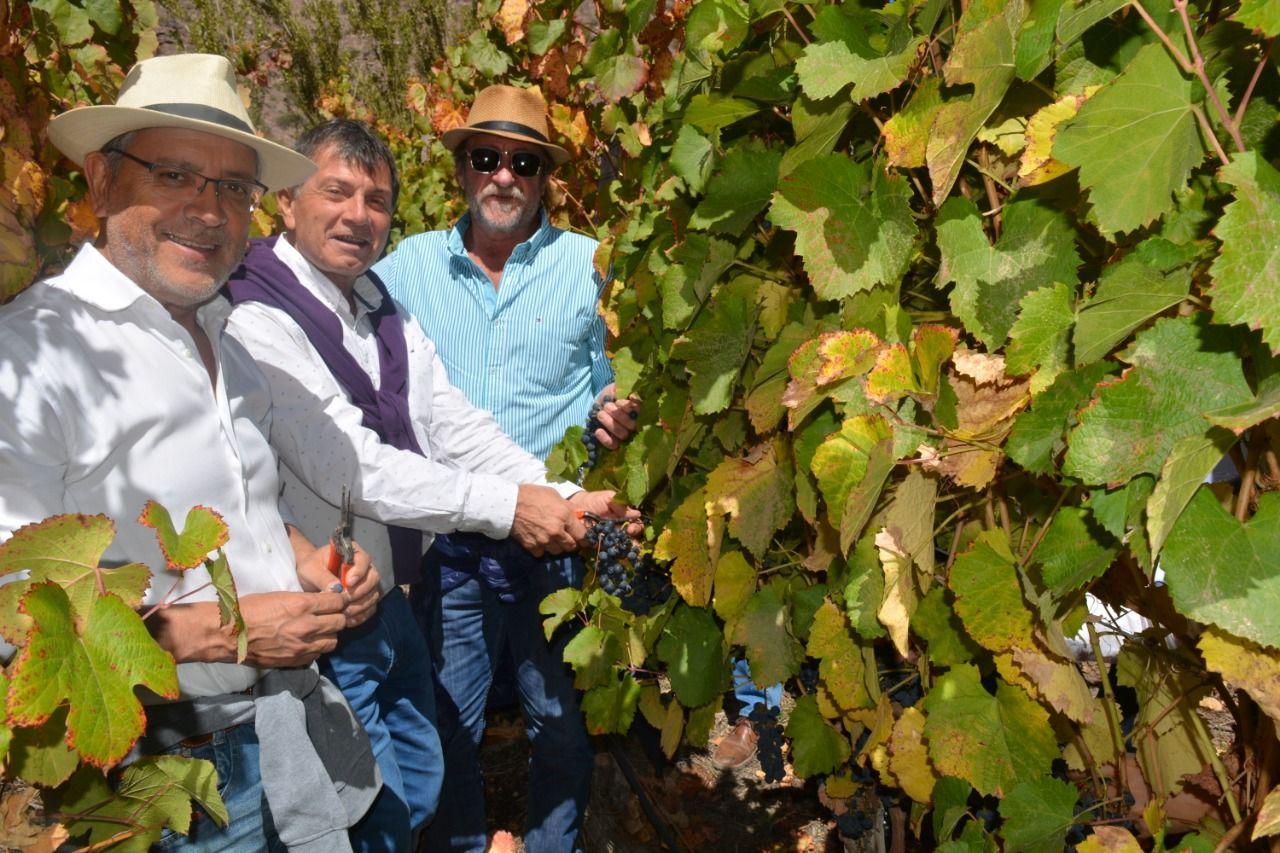 El ministro recorrió viñedos de la Quebrada de Humahuaca. 