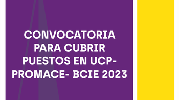 convocatoria para cubrir puestos en ucp-promace- bcie 2023