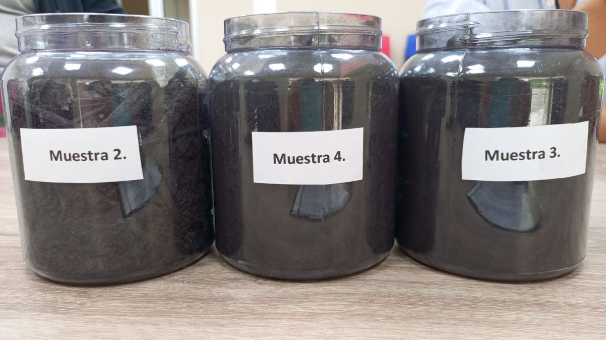 Muestras de Biochar