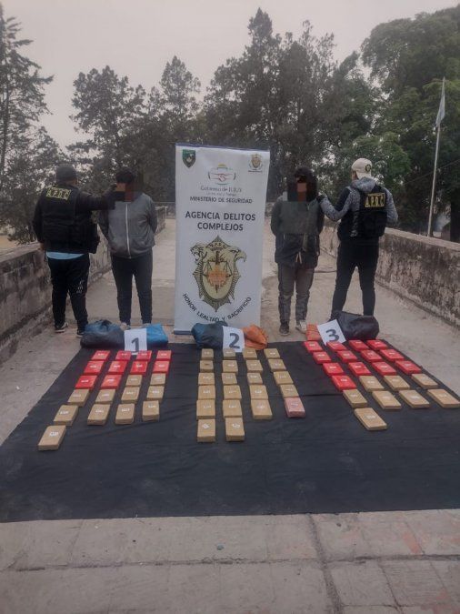 Delitos Complejos: secuestraron 66 kg de cocaína valuada en 100 millones de pesos