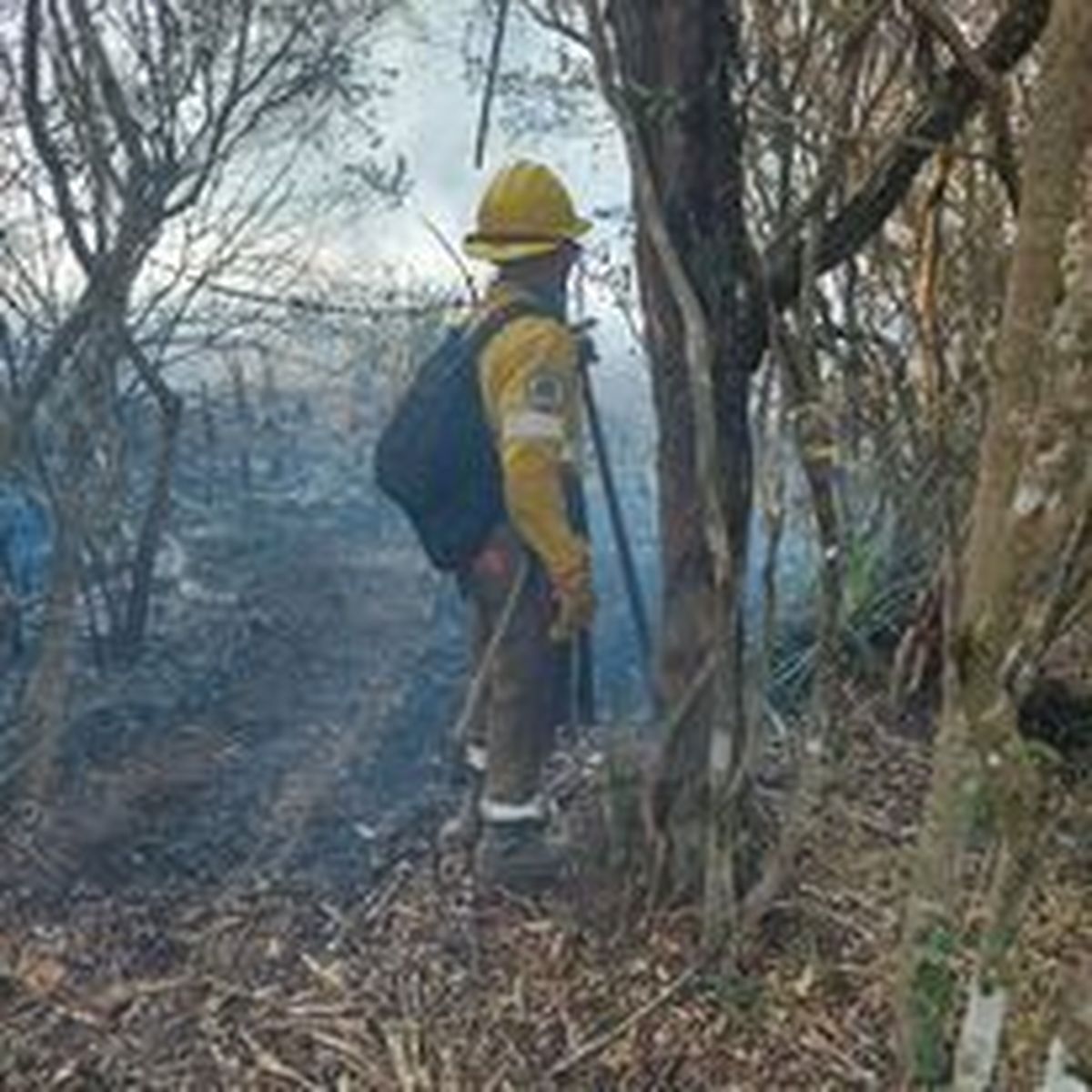 Jujuy trabaja en terreno para evitar el avance de los incendios de Salta