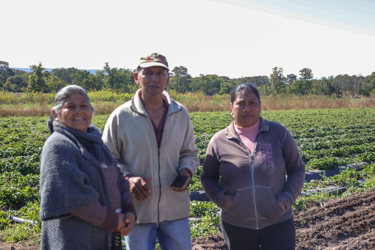 Promueven la producción agroecológica con bioinsumos en distintas regiones de la provincia