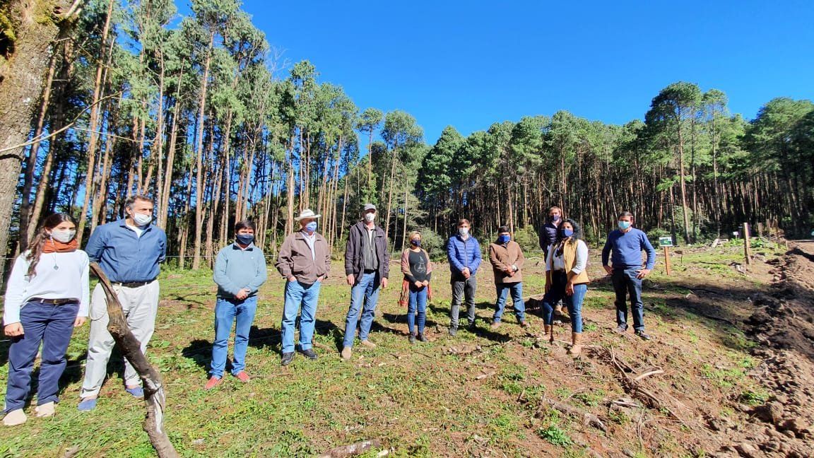 Reafirman el desarrollo forestal en El Fuerte
