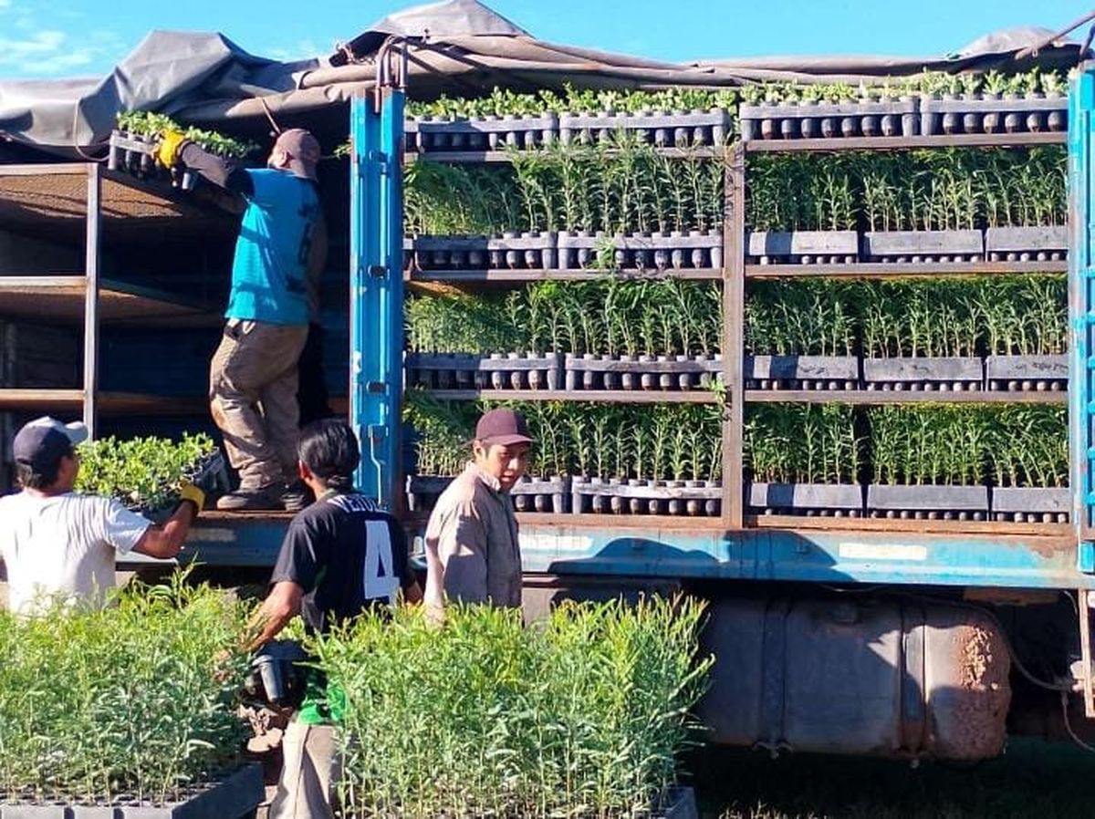 El Centro Foresto Industrial Arrayanal se posiciona en el NOA