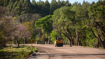 Jujuy Construye: avanzan obras de pavimentación de la RP 56, desde Carahunco a La Mendieta