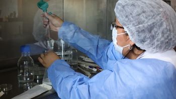 piden extremar medidas de cuidado ante la salmonelosis piden extremar medidas de cuidado ante la salmonelosis