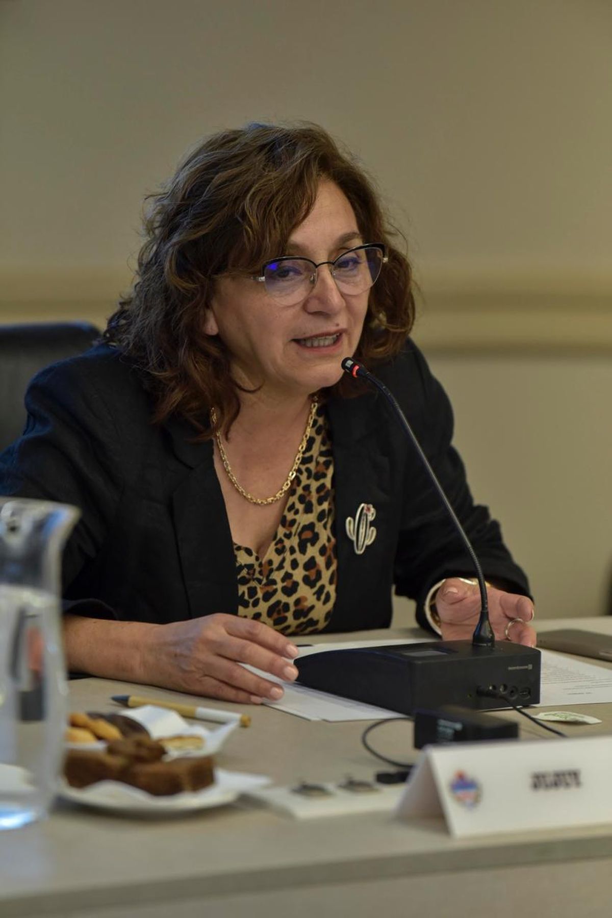 La ministra Serrano fue designada vicepresidente del Consejo Federal de Educación