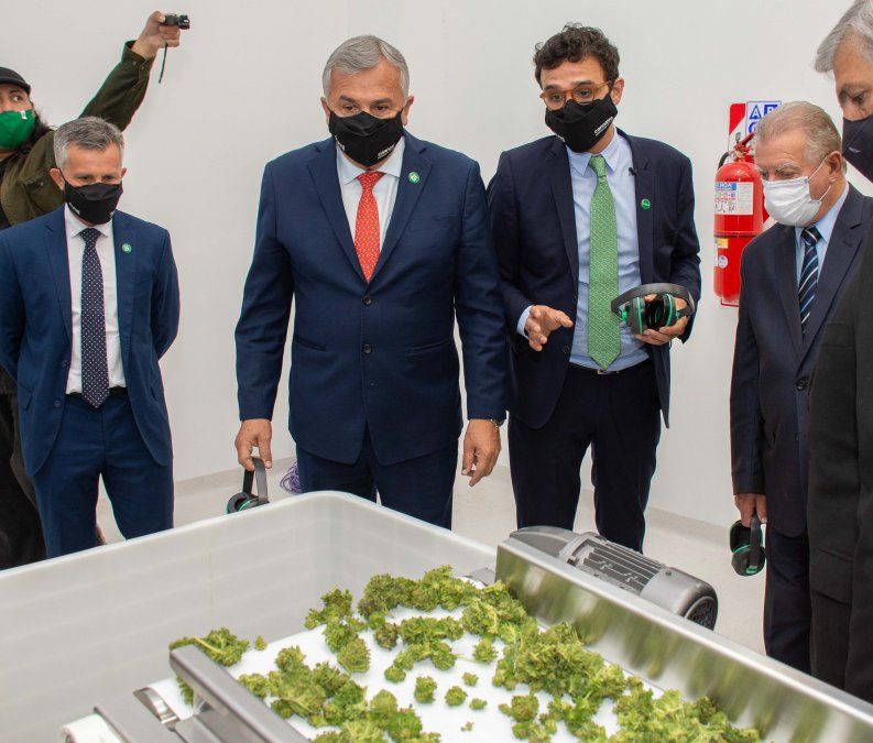 Jujuy tiene la única Planta Industrial de procesamiento de Cannabis Medicinal habilitada por ANMAT
