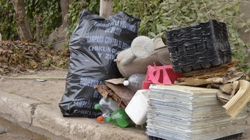 Chikungunya: Jujuy refuerza las acciones preventivas con énfasis en el descacharrado